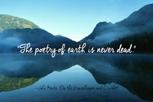Top 25 Quotes About Nature Nothing Compares To Nature S Beauty As By Rupeshbaria Medium