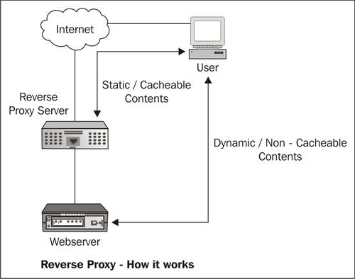 Reverse Proxy Working