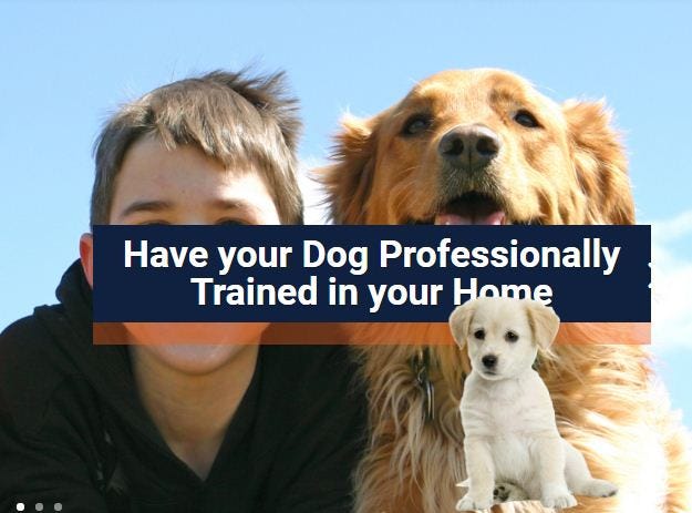 dog trainer las vegas