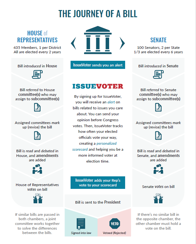 The Journey of a Bill. We made this infographic to describe… | by  IssueVoter | IssueVoter
