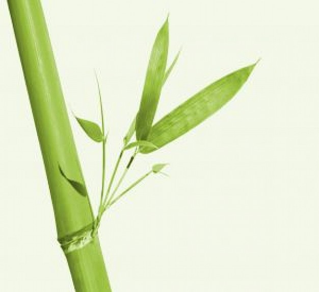 Here Is The Magic Superfood For Skin By Cleopatra Diaries Medium
