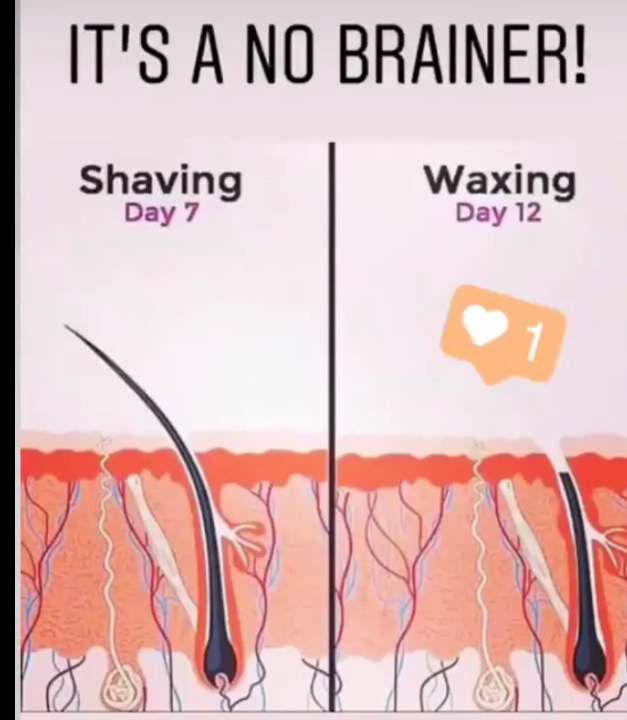 Waxing or Shaving..? Which is better for you? by Madd.Megs Dec
