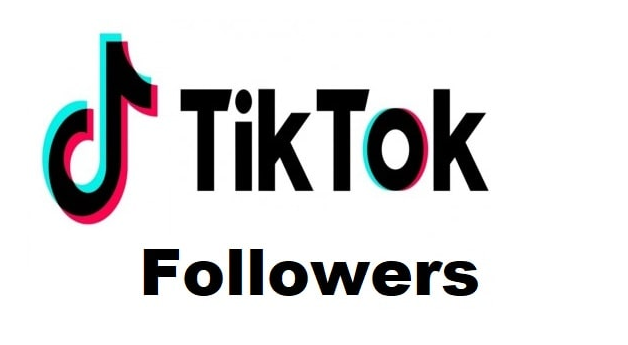 Top intriguing ways to get TikTok followers for beginners | by Hassanfaizan  | Medium