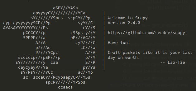 python installing scapy python installing scapy