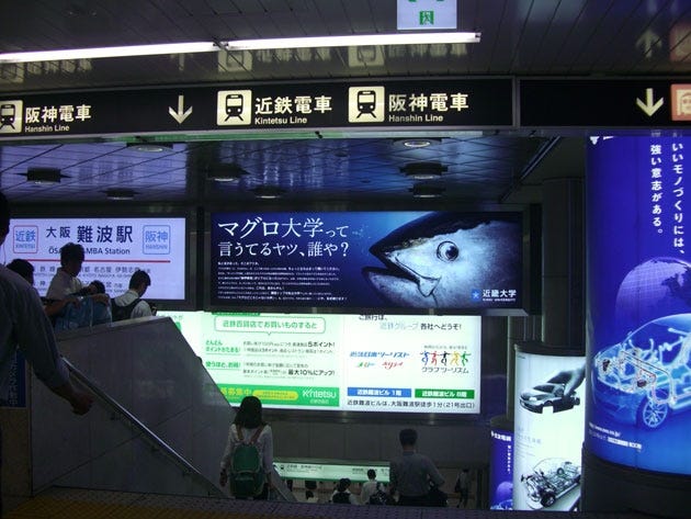 5 28 木 マグロ大学って言うてるヤツ 誰や 近鉄大阪難波駅の電照看板をリニューアル 近畿大学 By News Release Medium