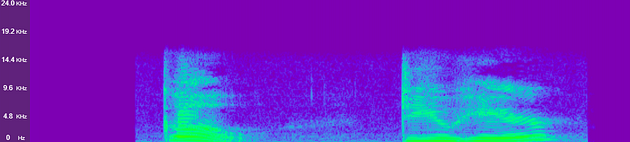 Spectrogram Visualization