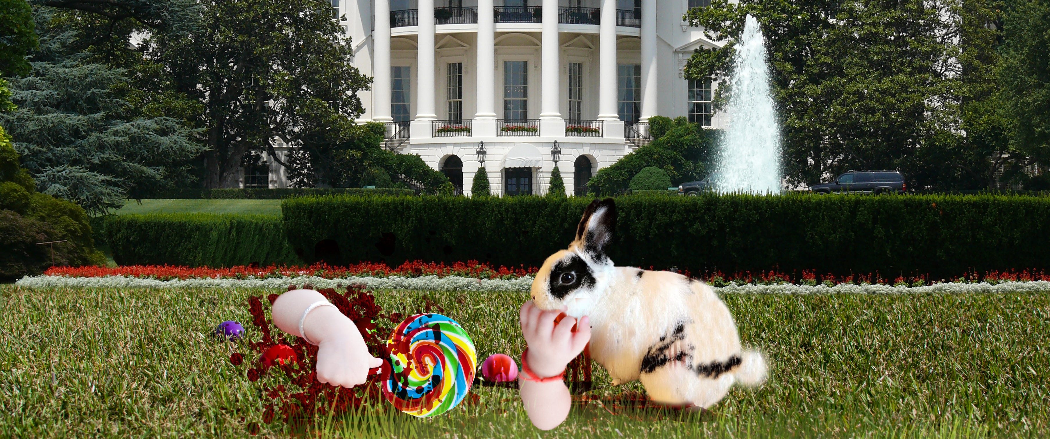 Pence Pet Rabbit Savagely Attacks Child By Phillip T Stephens The Haven Medium
