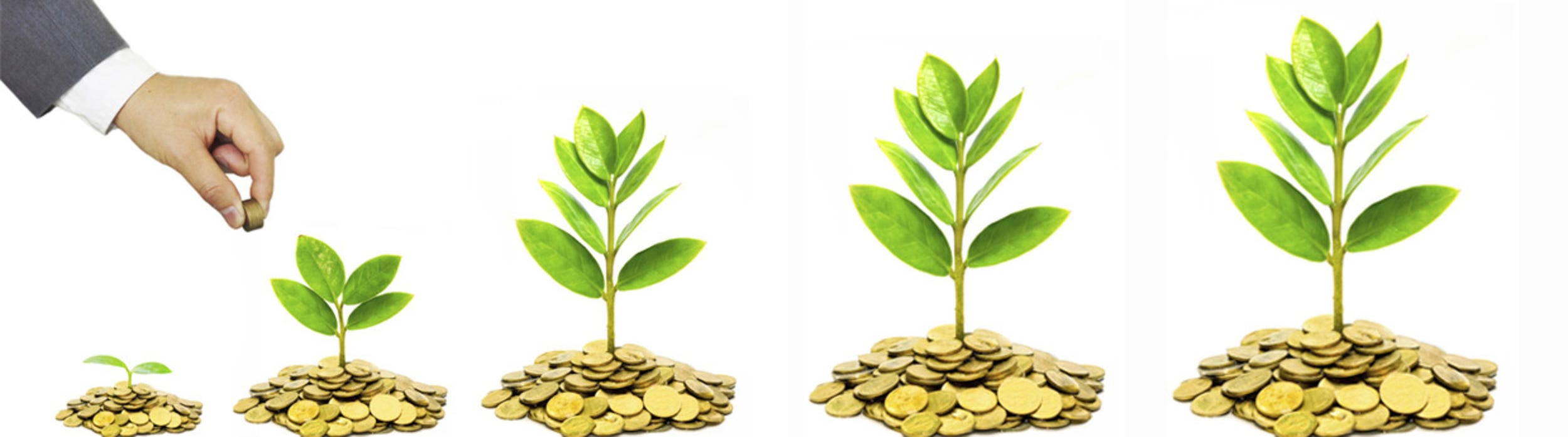 Let S Verse As Some Of You Know I Recently Left By Pablo Viguera Medium