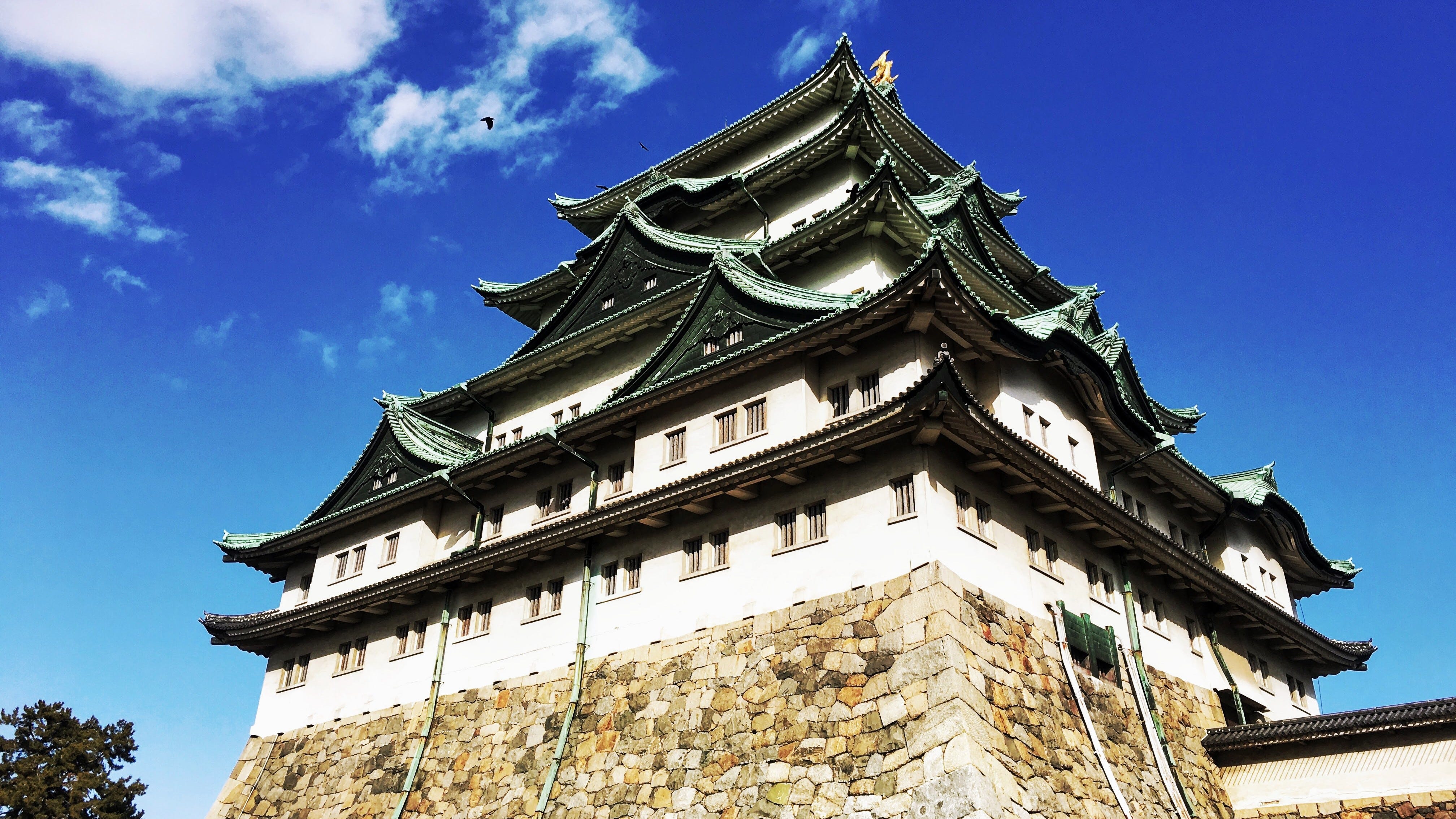 Ngo 日本三大名城 名古屋城 Nagoya X Travel By Ngo O Oka Medium Ngo 日本三大名城 名古屋城 Nagoya X Travel By Ngo O Oka Medium
