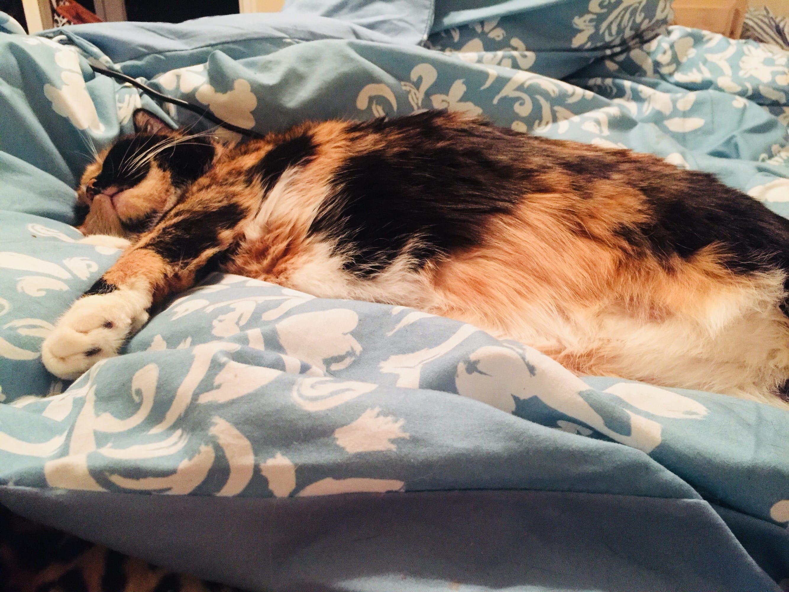 Piss On Sleeping Girl