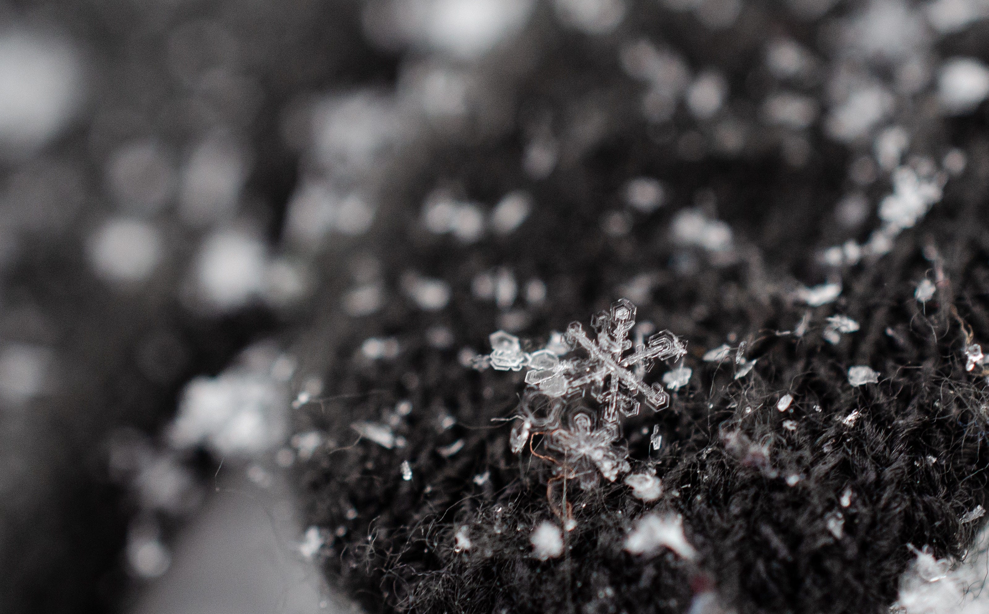 Meet Snowflake On Azure To Understand Why Customers Choose By Andrei Babich Rock Your Data Medium Meet Snowflake On Azure To Understand Why Customers Choose By Andrei Babich Rock Your Data Medium