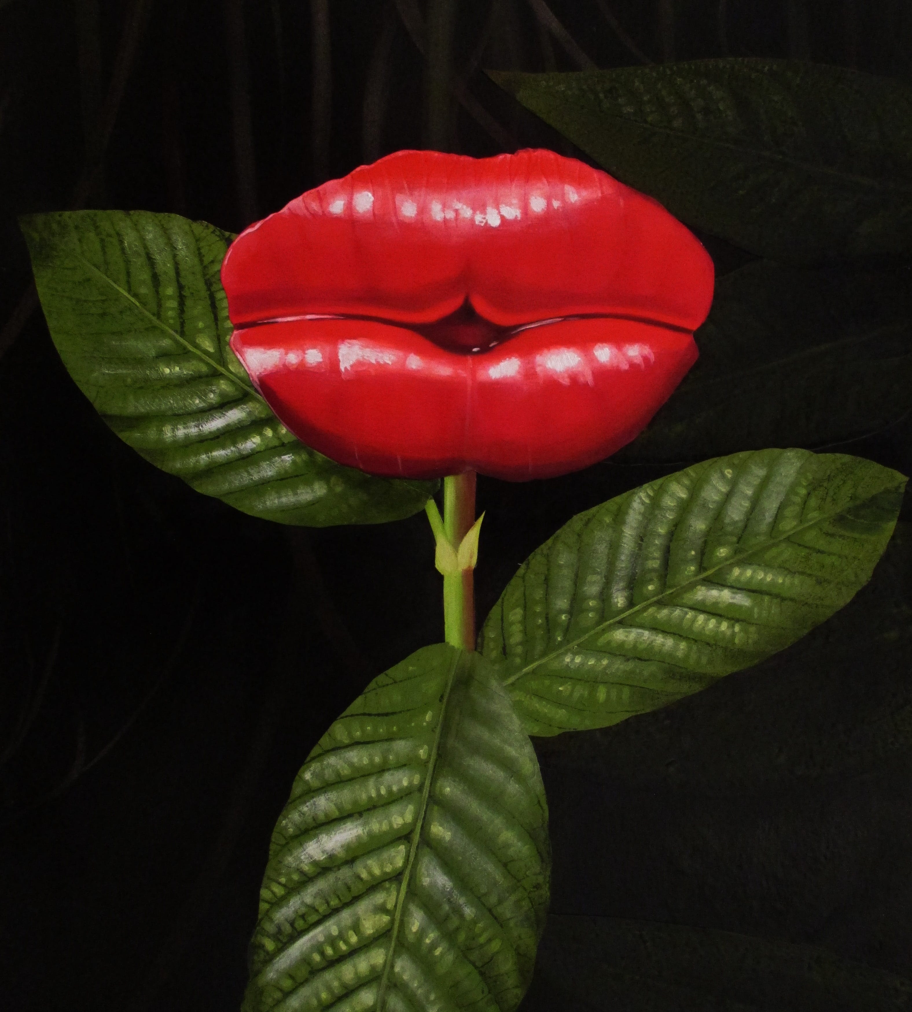 Weird Plants. Chris Thorogood, Head of Science and… by