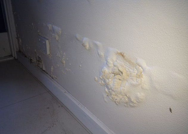 Dealing With Rising Damp Situation Effective Remedies