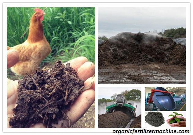 How To Process Chicken Manure Into Organic Fertilizer