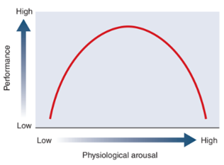 Stress and Anxiety in Football: What do you need to know and how can ...