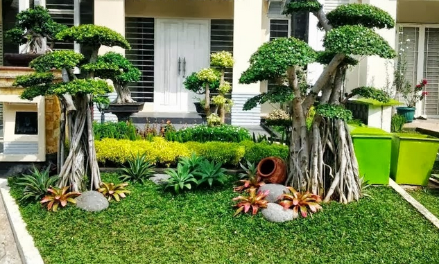 Jasa Pembuatan Taman Semarang Nadira Aynur Medium