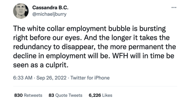 screen shot of tweet from Michael Burry “The white collar bubble is bursting right before our eyes”