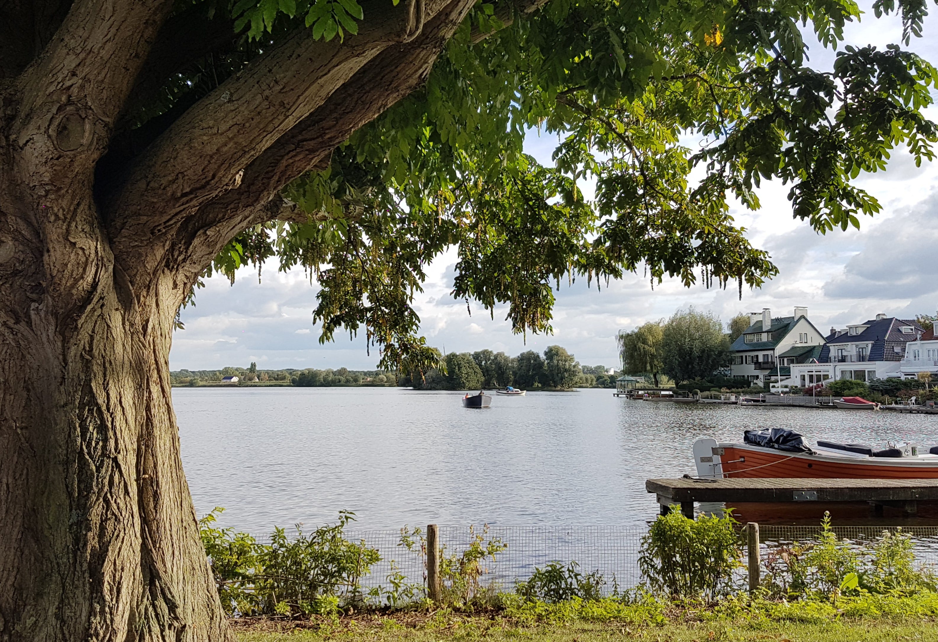 yazilim uzmani olarak yurt disinda is bulma rehberi by ekrem aktas medium