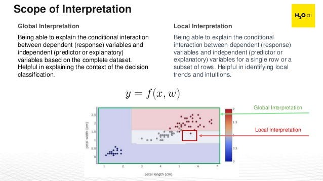 Interpretation scope explainable AI