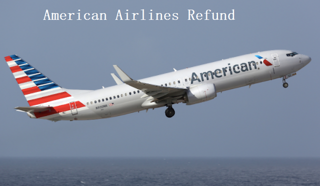 american airlines baggage refund