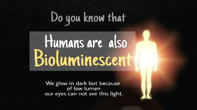 Humans are also Bioluminescent!!. Which means humans are also source of ...