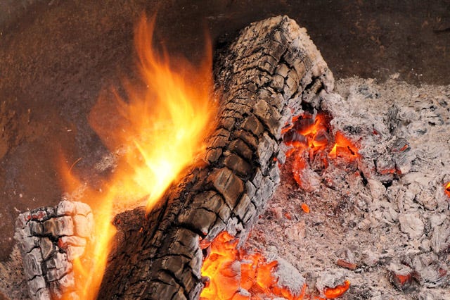 The Benefits Of Wood Ash In Your Garden And Compost