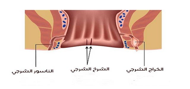 الم فتحة الشرح