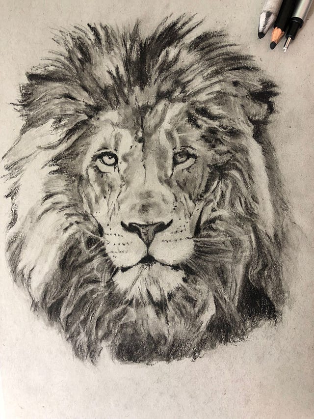 Drawing a Lion! Realistic Art with Charcoal | by @Simon | Medium