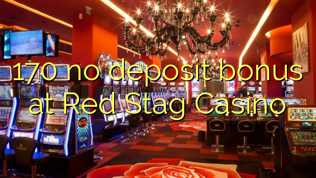 Red Stag Casino Download