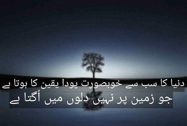 Quotes In Urdu About Trust Quotes In Urdu About Trust Trust Is A By Abubakarm Medium