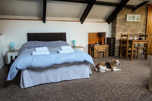 Dog Friendly Accommodation For Two In Northumberland Cross House