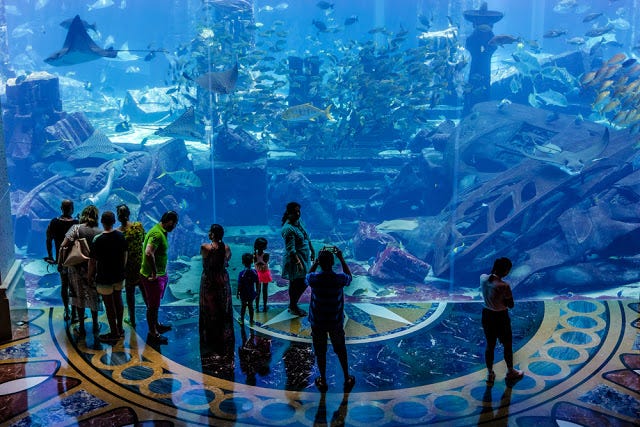 Trip To Adventurous Iconic Atlantis The Palm Dubai