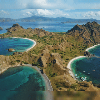 picture Gordon Gekko Beach Gif 6 fun javascript repos that make