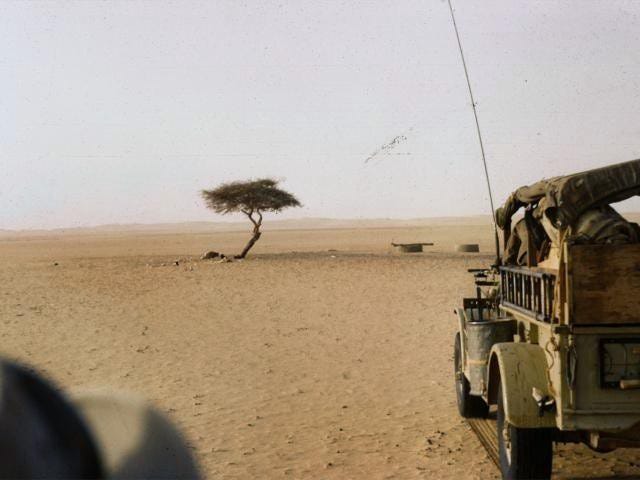 Africa Is Planting Tens Of Millions Of Trees In The Desert Here S Why By Abfredere Feb 2021 Medium