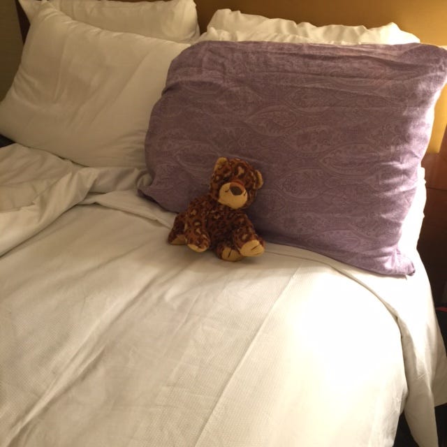 Adults Who Sleep With Stuffed Animals by Shauna Ruth Sanders Medium