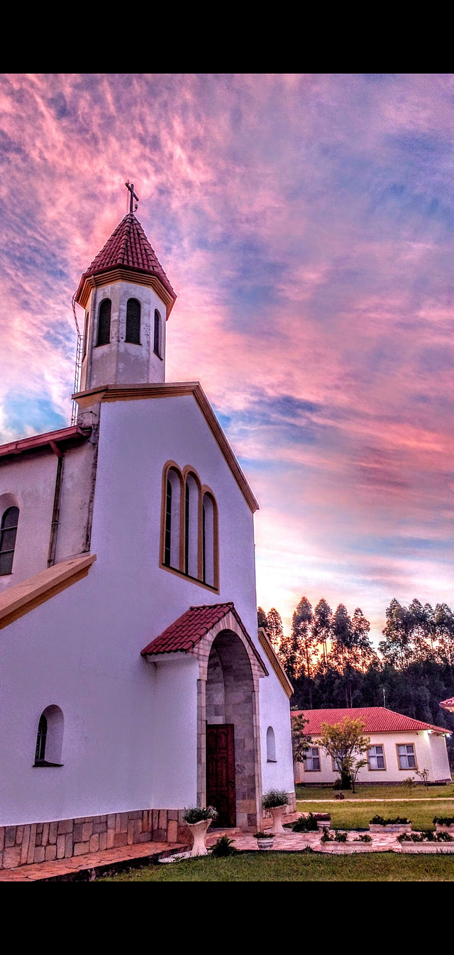 Omnia in bonum. Omnia in bonum Tudo concorre para o… by Maria Teresa