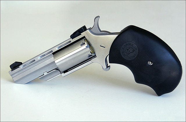 Self Defense 22 Magnum A Sensible Personal Defense Plan Should By Lax Ammunition Medium Self Defense 22 Magnum A Sensible Personal Defense Plan Should By Lax Ammunition Medium