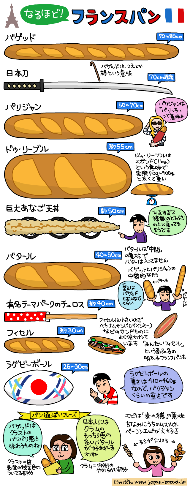 イラストで解説 なるほど フランスパン フランスパンの種類とサイズについて イラストでまとめてみました By 芦之由 あしのよし Ashinoyoshi S Illustration Medium