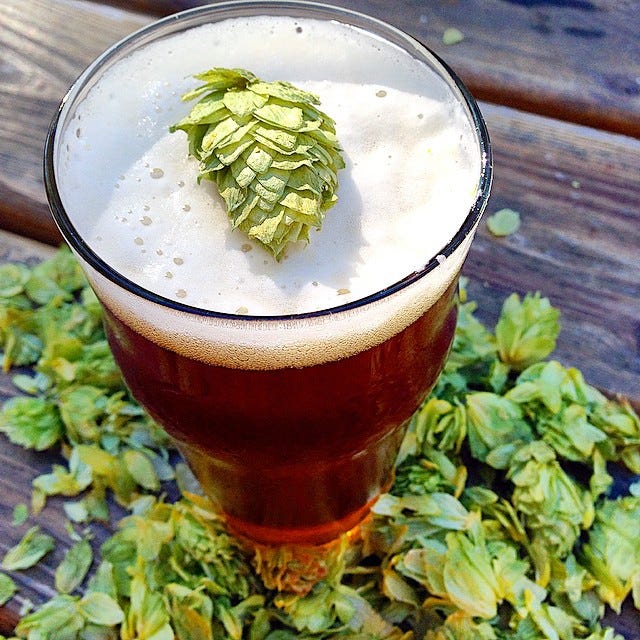 India Pale Ales (IPAs) are bad. When I was twentyfour, I used to think