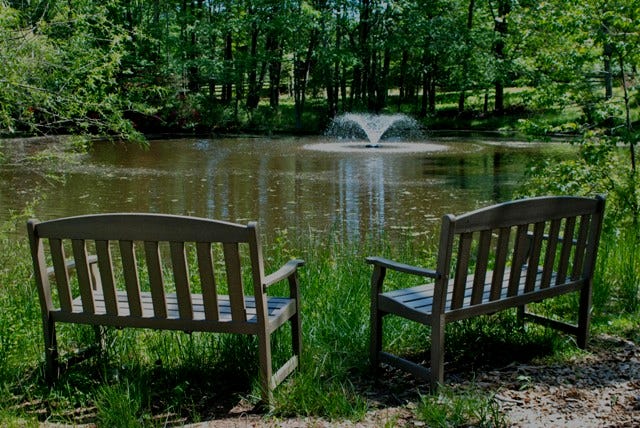 Drug Rehab In Virginia Vanessa Vergnetti Medium