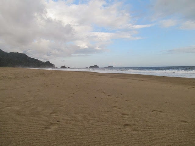 Pantai Sukamade Kumoro Medium