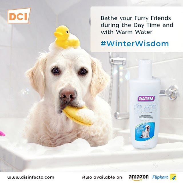 anti tick dog shampoo