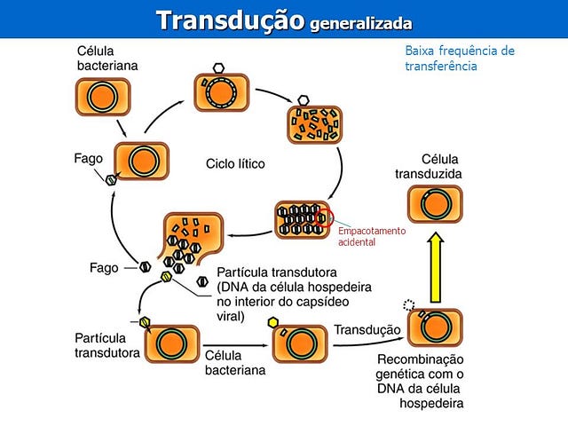 transdução