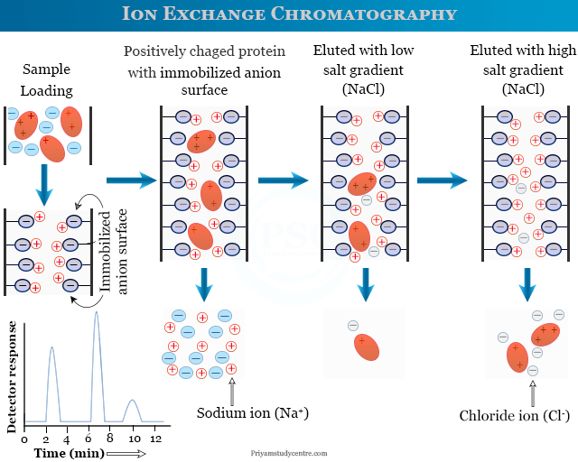 Applications of ion exchange chromatography | Study Chemistry