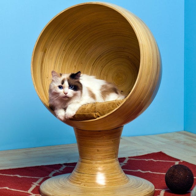 the refined feline kitty ball bed