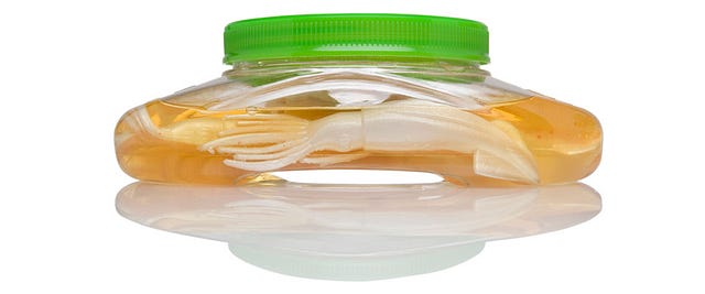 Gulp! Alive! Oval Bucket. Design flexibility with Eastman’s… | by ...