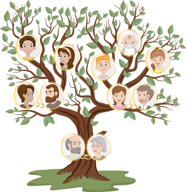 How to Build Your Free Family Tree | by Jared Bouchard | Aug, 2022 | Medium