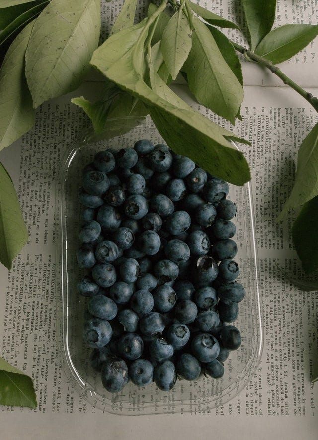 Blueberries and Brain Health The Protective Effect of Blueberries On