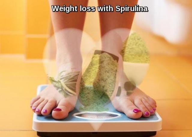 Weight loss with Spirulina. First thing you should know that there… | by  New Age Nutrition | Medium