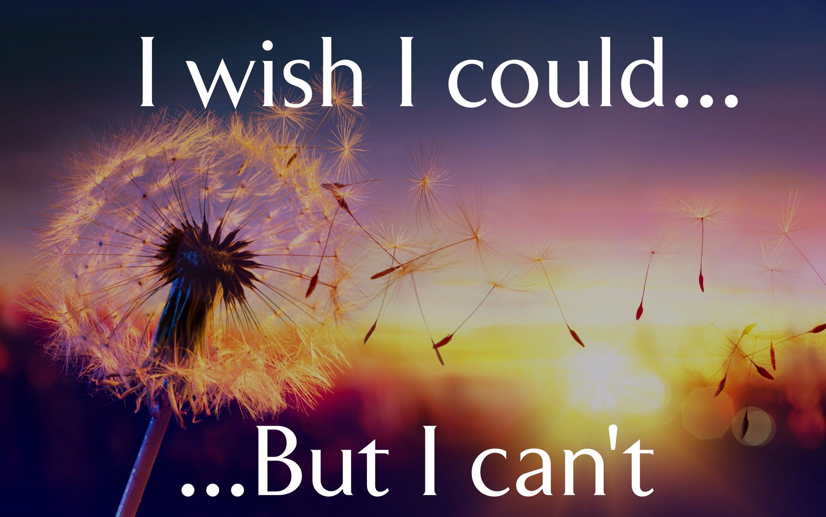 I Wish - tomsherry - Medium